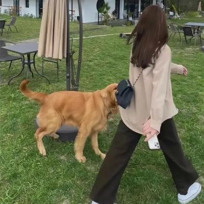 马布里街头小霸王